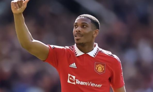 我们期待看 我们期待看